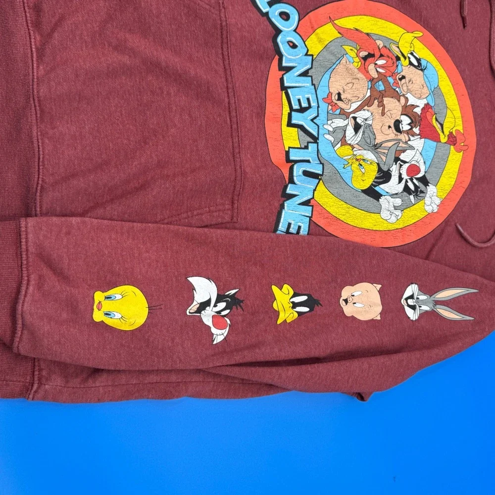 Looney Tunes Mania fun looney